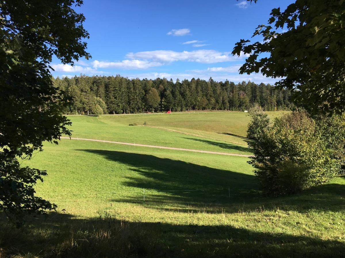 Catalli Herrischried Buitenkant foto